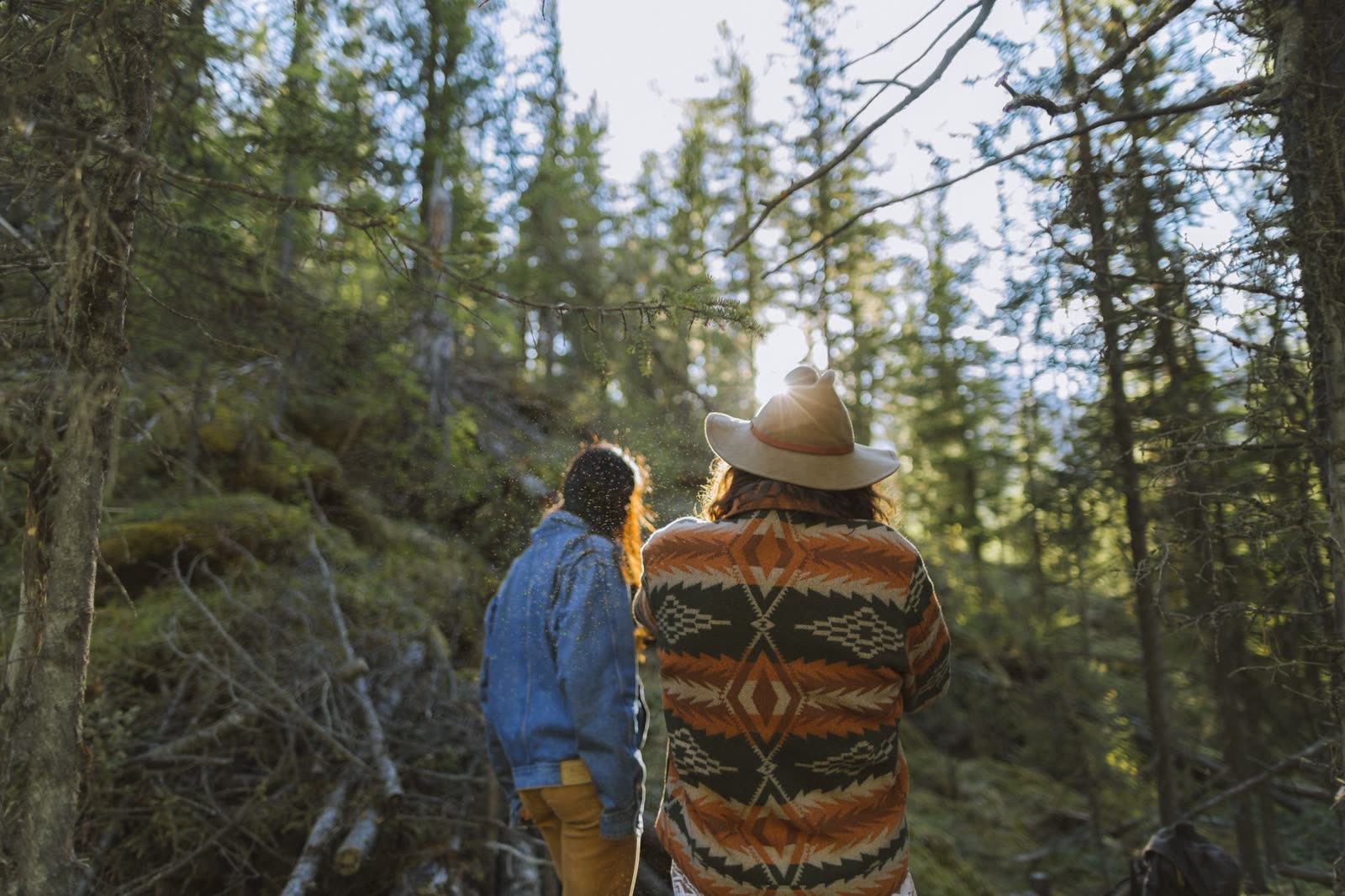 hikers in light layers on a sunny wooded trail in early autumn / quiet paved riverside walking path at sunrise / overlook on a forested ridge under a clear blue sky