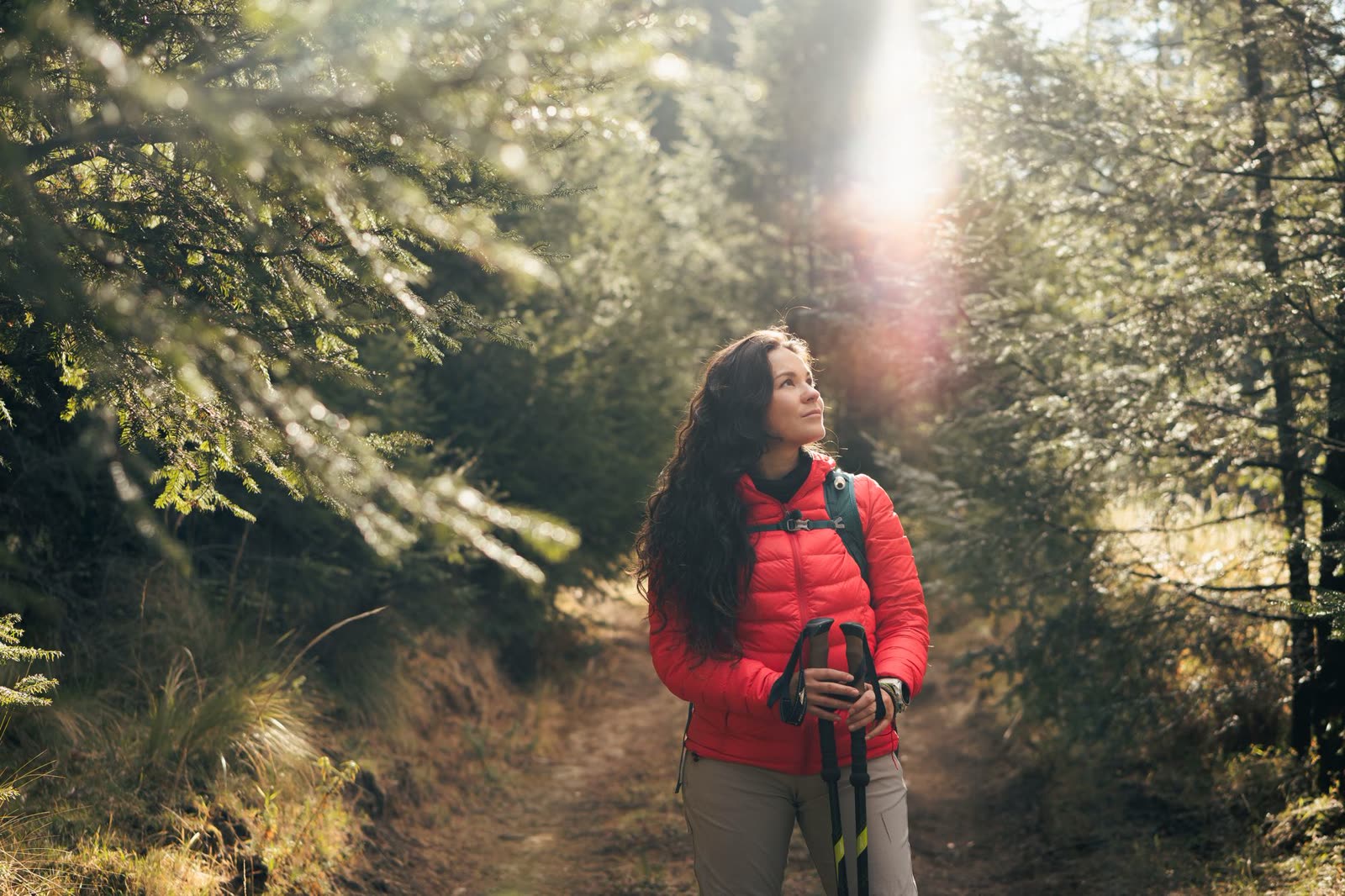 hikers in light jackets on a sunny autumn woodland trail / family walking a paved riverside trail on a crisp fall day / autumn colors along a wooded canyon overlook