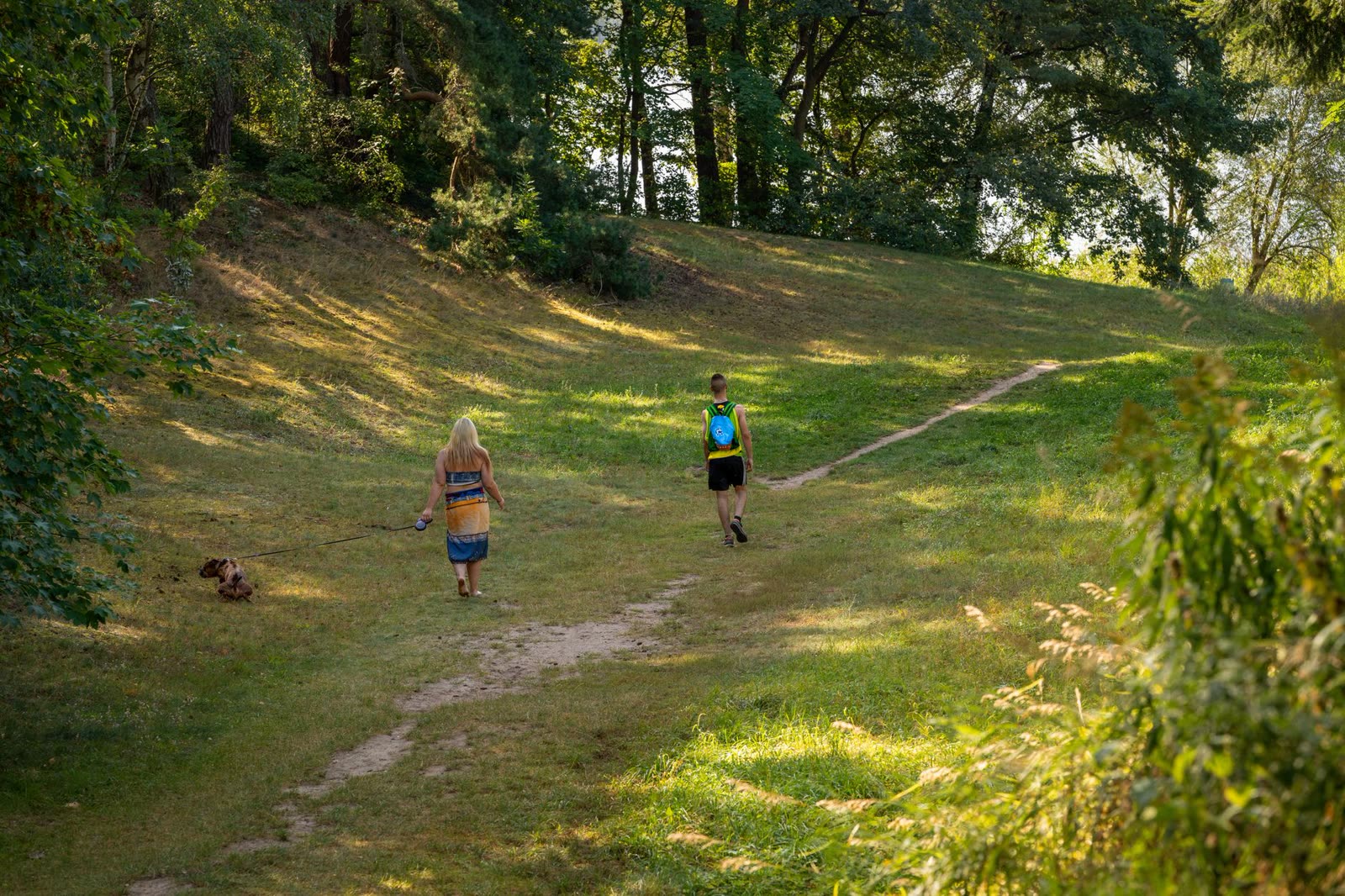 people walking a riverside trail on a warm sunny autumn afternoon / sunny autumn morning over a small southern downtown street / dry fallen leaves glowing in low autumn sunlight