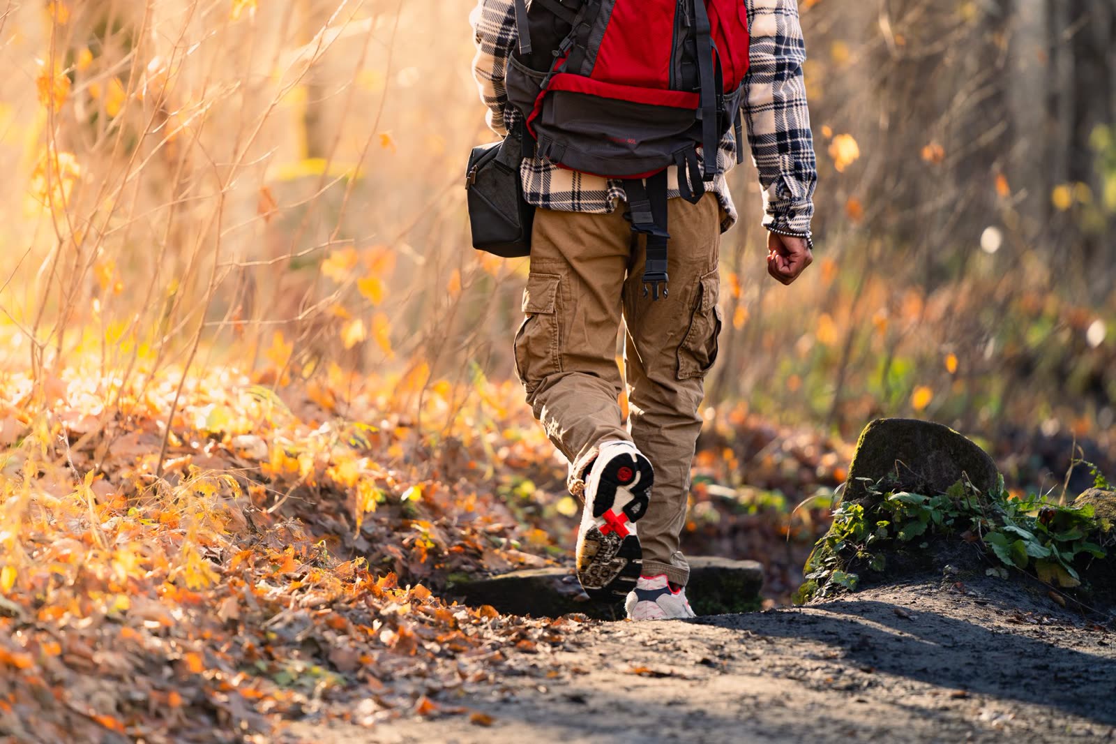 hikers in light layers on a sunny wooded trail in early fall / couple walking a paved riverside trail on a clear morning / sunlight through pine trees on a southern ridge in autumn