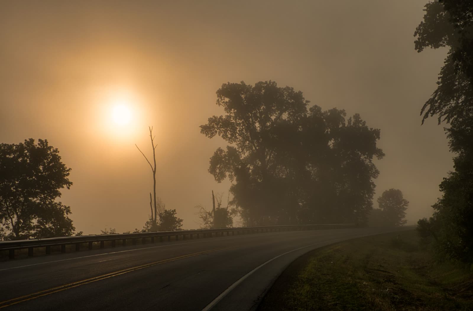 children in hoodies waiting at a school bus stop on a cool morning / kids with backpacks standing at a roadside stop at sunrise / patchy morning fog over a country road in early autumn
