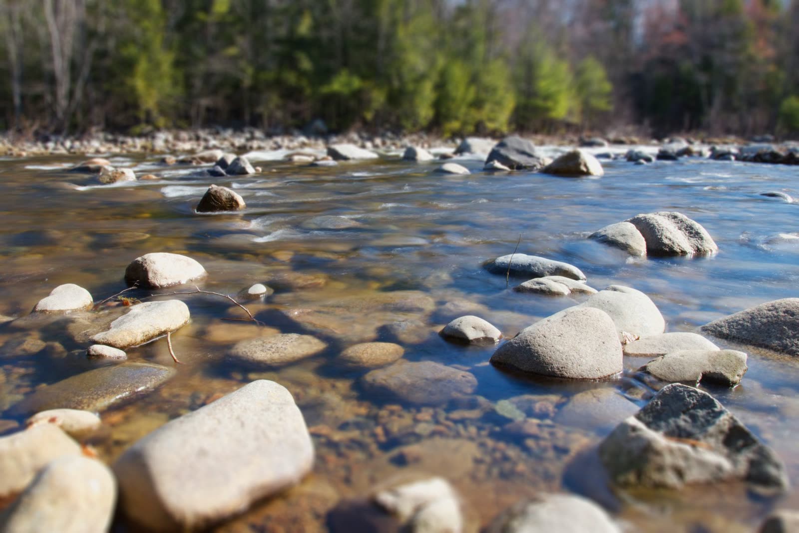 shallow river over exposed rocks