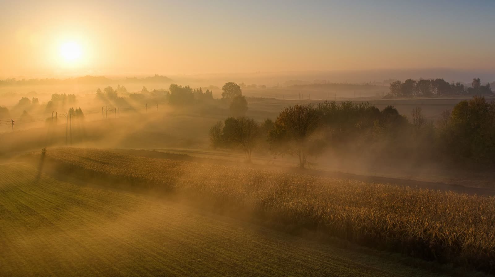 people wearing light jackets on a cool sunny fall morning downtown / family drinking coffee on a porch on a crisp morning / golden sunrise mist over a southern river walking trail