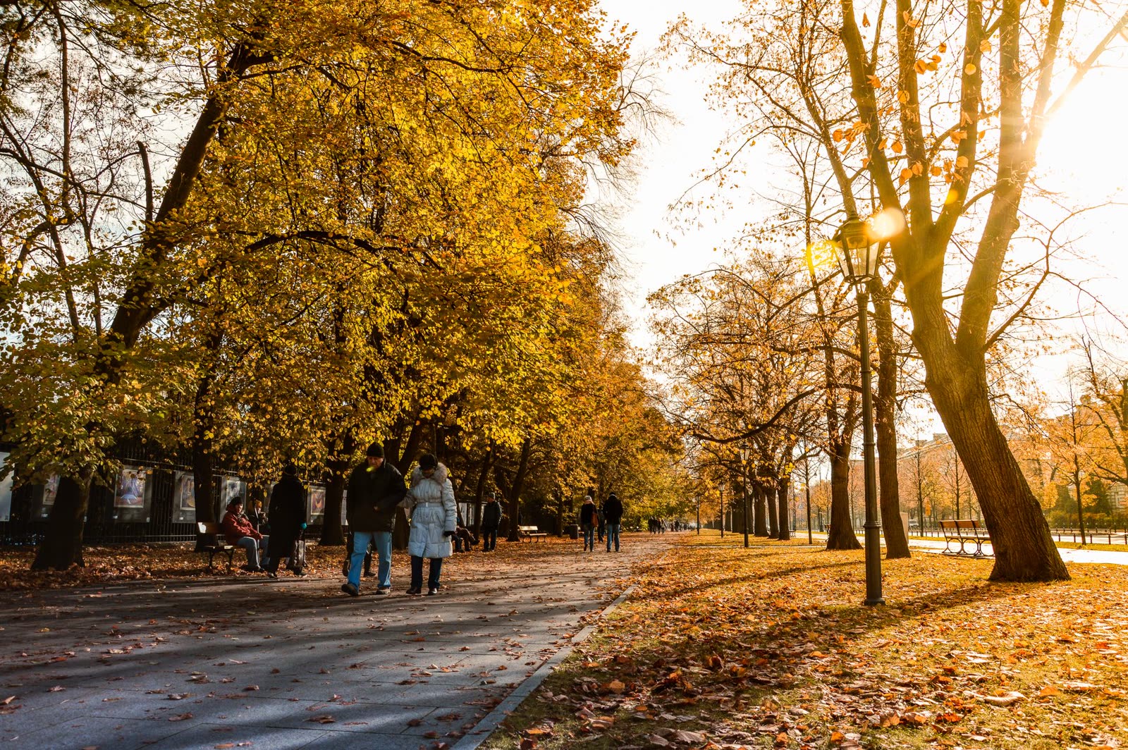 people walking a riverside trail on a warm dry autumn afternoon / golden autumn light over a small southern downtown street / first rain showers moving over an autumn forest