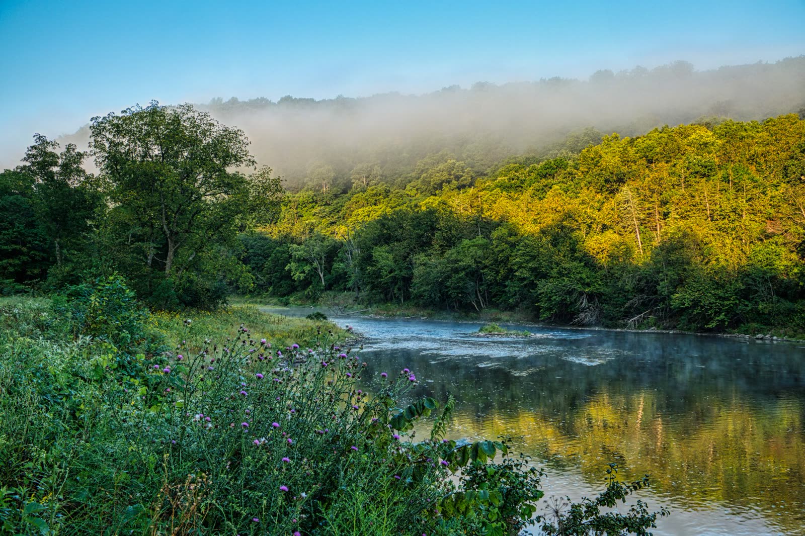 clear cool morning along a river trail