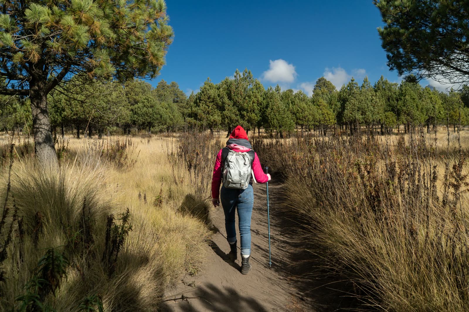 hikers in light jackets on a sunny autumn woodland trail / couple walking a paved riverside trail in fall sunshine / wooded ridge overlook under a clear October sky