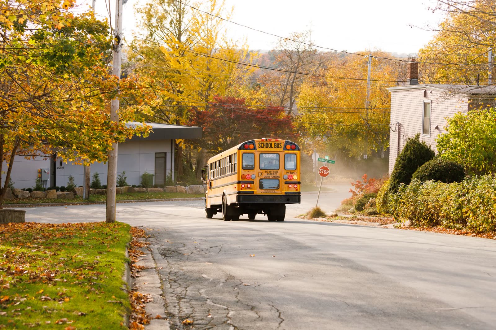 children in hoodies waiting at a school bus stop before sunrise / kids with backpacks walking on a sidewalk on a cool clear morning / yellow school bus on a small town street at dawn